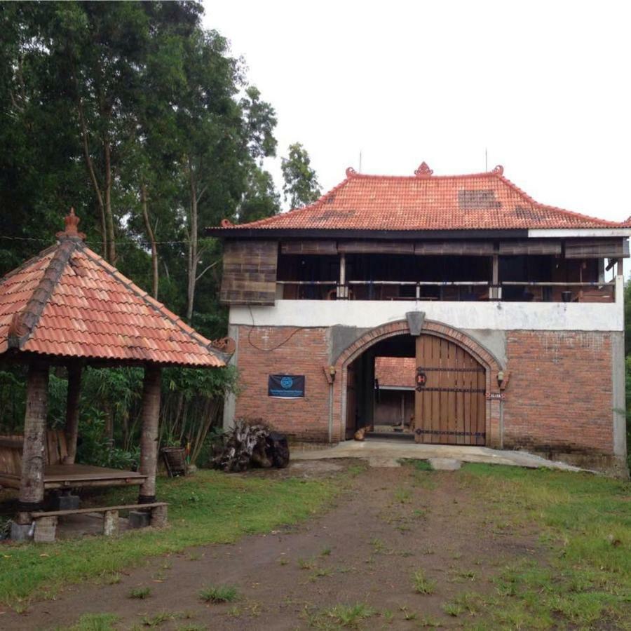 Villa Hembers Surf Camp Pacitan Exteriör bild