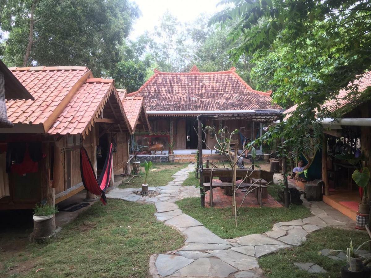 Villa Hembers Surf Camp Pacitan Exteriör bild